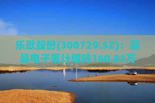乐歌股份(300729.SZ)：丽晶电子累计增持160.81万股