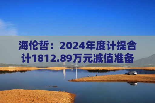 海伦哲：2024年度计提合计1812.89万元减值准备