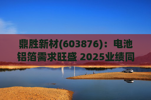 鼎胜新材(603876)：电池铝箔需求旺盛 2025业绩同比高增
