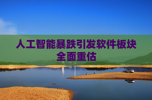 人工智能暴跌引发软件板块全面重估  第1张