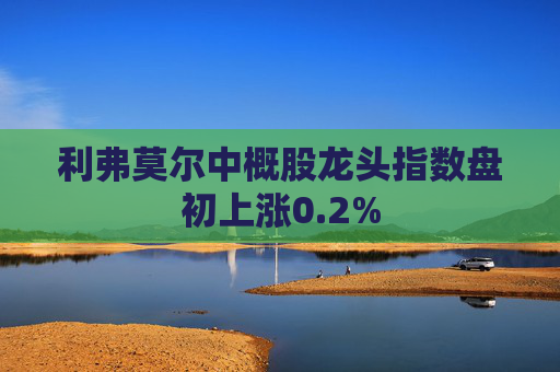 利弗莫尔中概股龙头指数盘初上涨0.2%