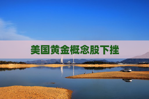 美国黄金概念股下挫