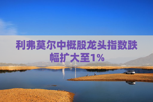 利弗莫尔中概股龙头指数跌幅扩大至1%