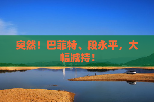 突然！巴菲特、段永平，大幅减持！