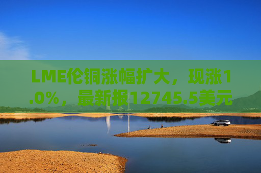 LME伦铜涨幅扩大，现涨1.0%，最新报12745.5美元/吨