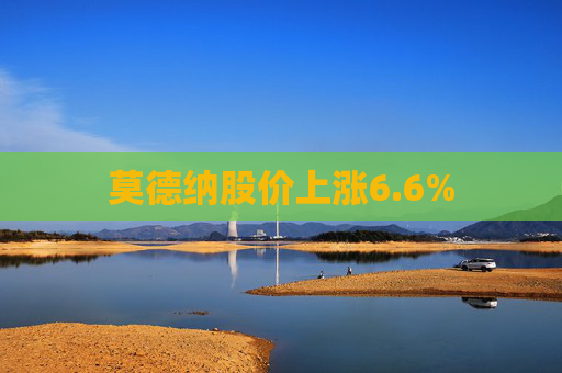 莫德纳股价上涨6.6%