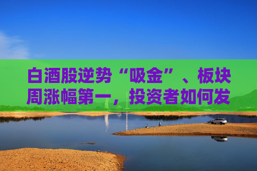 白酒股逆势“吸金”、板块周涨幅第一，投资者如何发掘舍得酒业的“质价比”  第1张