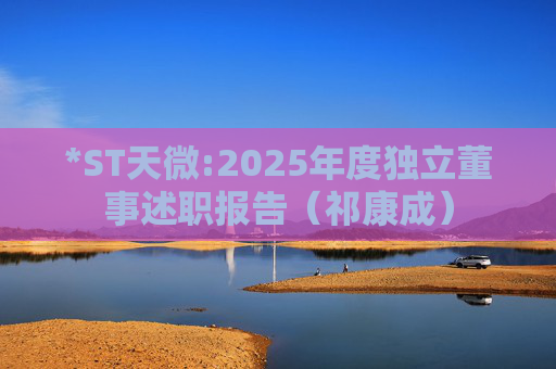 *ST天微:2025年度独立董事述职报告（祁康成）