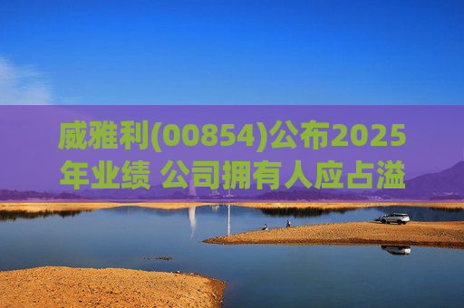 威雅利(00854)公布2025年业绩 公司拥有人应占溢利5095.8万港元