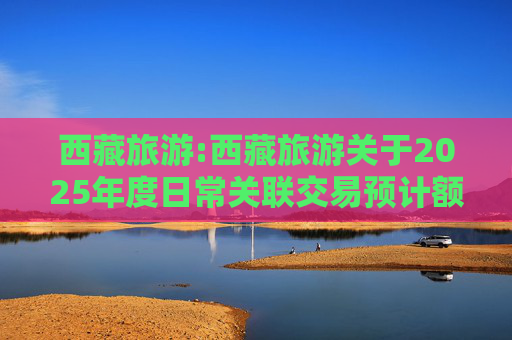 西藏旅游:西藏旅游关于2025年度日常关联交易预计额度的公告
