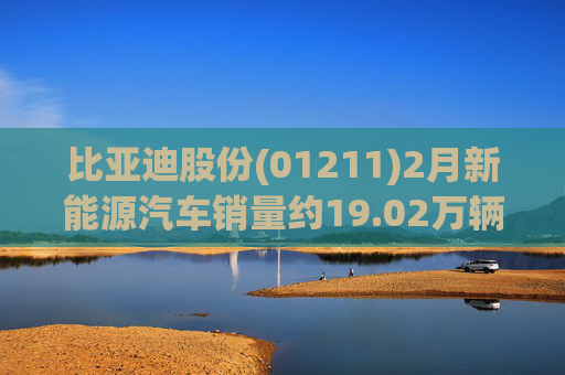 比亚迪股份(01211)2月新能源汽车销量约19.02万辆