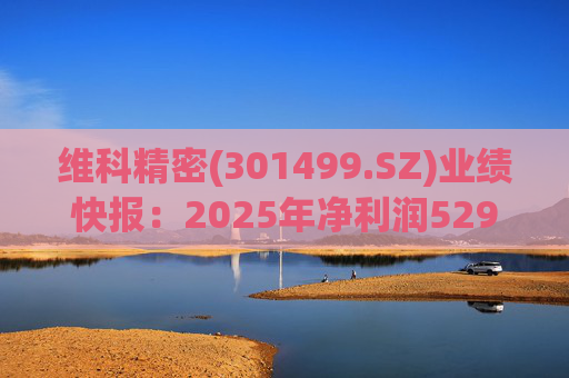维科精密(301499.SZ)业绩快报：2025年净利润5293.82万元 同比增长16.85%