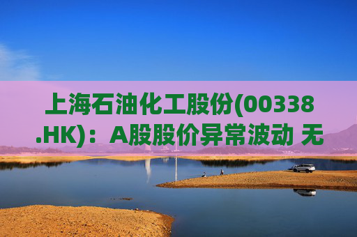上海石油化工股份(00338.HK)：A股股价异常波动 无应披露重大信息