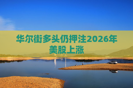 华尔街多头仍押注2026年美股上涨 第1张 华尔街多头仍押注2026年美股上涨 第1张