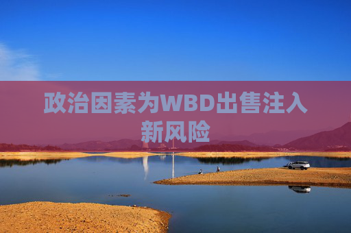 政治因素为WBD出售注入新风险