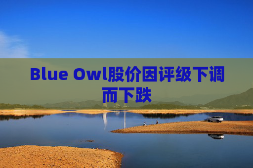 Blue Owl股价因评级下调而下跌