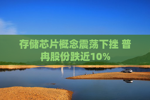 存储芯片概念震荡下挫 普冉股份跌近10%