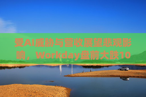 受AI威胁与营收展望悲观影响，Workday盘前大跌10%