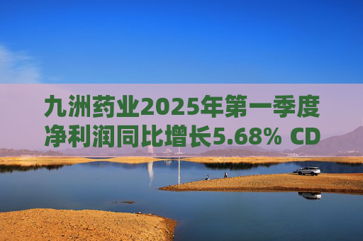 九洲药业2025年第一季度净利润同比增长5.68% CDMO业务稳步提升 第1张 九洲药业2025年第一季度净利润同比增长5.68% CDMO业务稳步提升 第1张