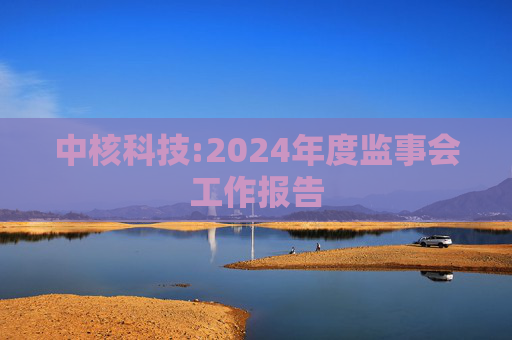 中核科技:2024年度监事会工作报告