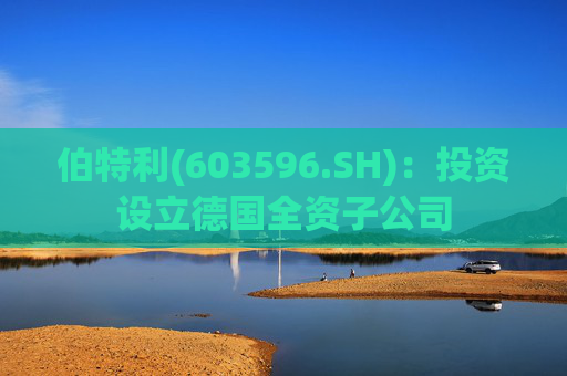 伯特利(603596.SH)：投资设立德国全资子公司