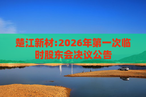 楚江新材:2026年第一次临时股东会决议公告
