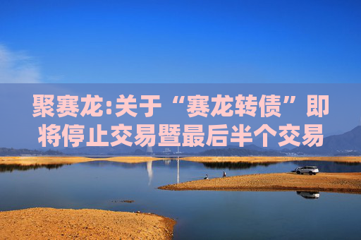 聚赛龙:关于“赛龙转债”即将停止交易暨最后半个交易日的重要提示性公告