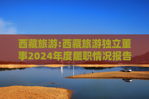 西藏旅游:西藏旅游独立董事2024年度履职情况报告(高金波)