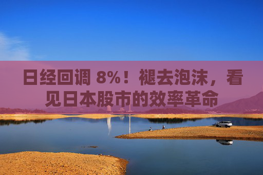 日经回调 8%！褪去泡沫，看见日本股市的效率革命