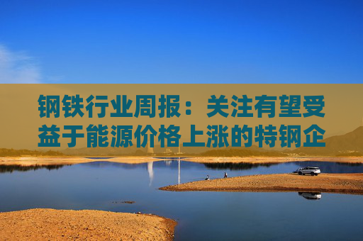 钢铁行业周报：关注有望受益于能源价格上涨的特钢企业