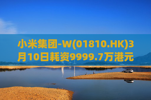 小米集团-W(01810.HK)3月10日耗资9999.7万港元回购297.7万股