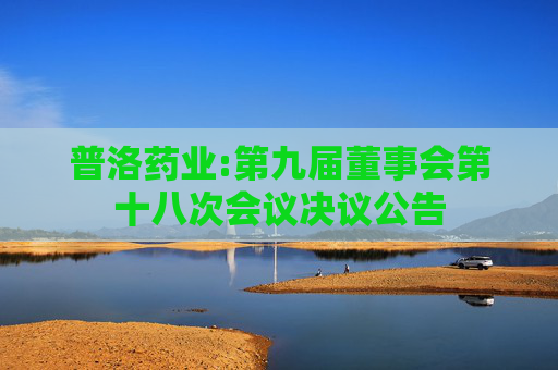 普洛药业:第九届董事会第十八次会议决议公告