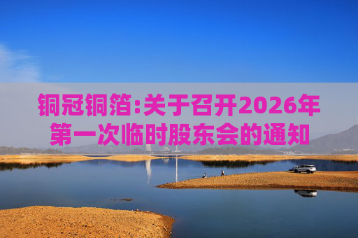 铜冠铜箔:关于召开2026年第一次临时股东会的通知