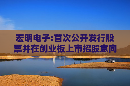 宏明电子:首次公开发行股票并在创业板上市招股意向书  第1张