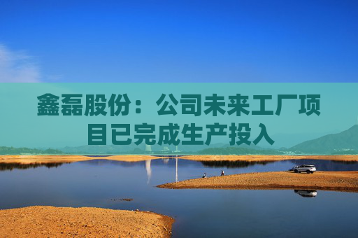 鑫磊股份：公司未来工厂项目已完成生产投入