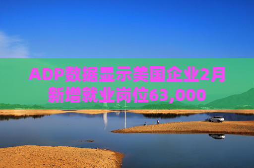 ADP数据显示美国企业2月新增就业岗位63,000