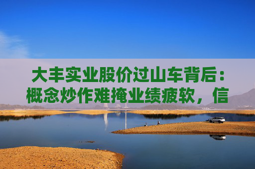 大丰实业股价过山车背后：概念炒作难掩业绩疲软，信披违规暴露治理隐忧  第1张