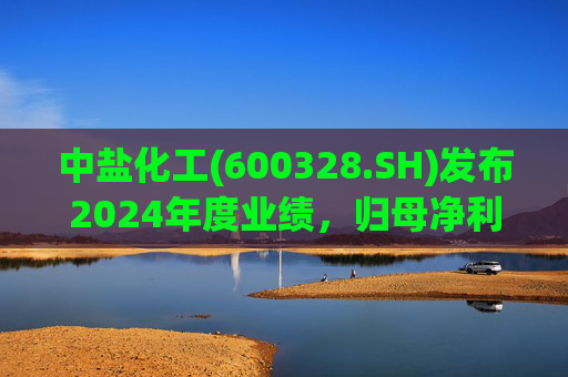中盐化工(600328.SH)发布2024年度业绩，归母净利润5.19亿元，同比下降56.32%  第1张