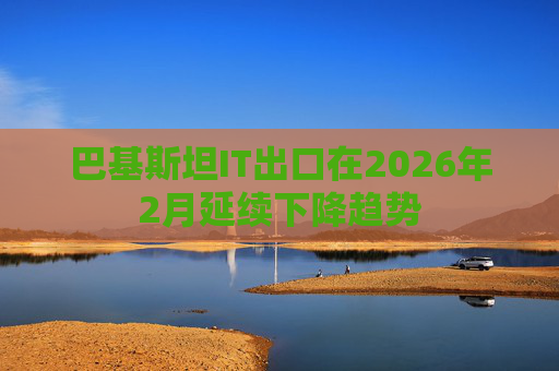 巴基斯坦IT出口在2026年2月延续下降趋势