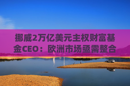 挪威2万亿美元主权财富基金CEO:欧洲市场亟需整合,"赢家通吃" 第1张 挪威2万亿美元主权财富基金CEO:欧洲市场亟需整合,"赢家通吃" 第1张