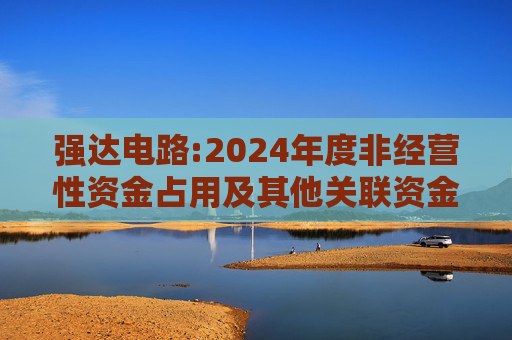 强达电路:2024年度非经营性资金占用及其他关联资金往来情况汇总表  第1张