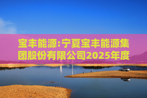 宝丰能源:宁夏宝丰能源集团股份有限公司2025年度独立董事述职报告（孙积禄）
