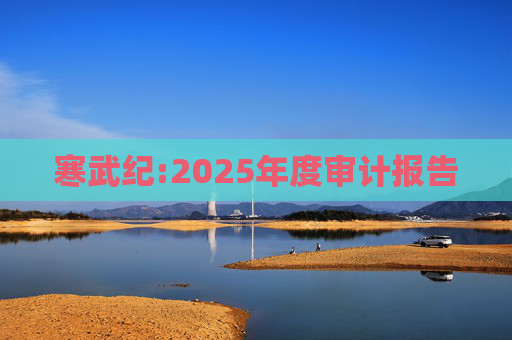 寒武纪:2025年度审计报告