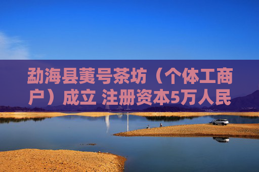 勐海县荑号茶坊（个体工商户）成立 注册资本5万人民币