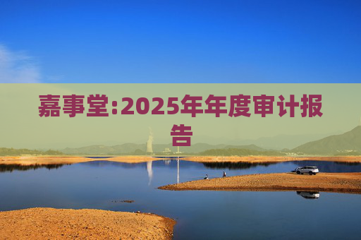 嘉事堂:2025年年度审计报告