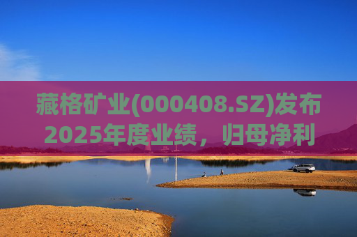 藏格矿业(000408.SZ)发布2025年度业绩，归母净利润38.52亿元，同比增加49.32%  第1张