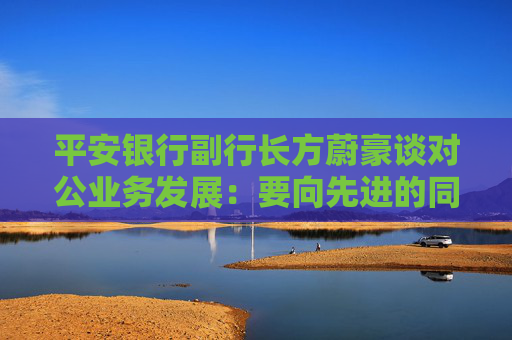 平安银行副行长方蔚豪谈对公业务发展：要向先进的同行多去学习，同时要大快步赶上