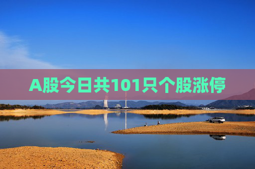 A股今日共101只个股涨停