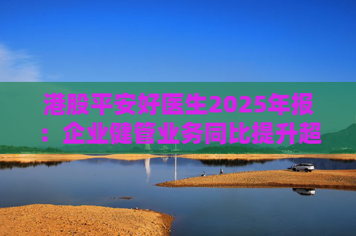 港股平安好医生2025年报：企业健管业务同比提升超40%，AI全场景赋能迎来高质量盈利