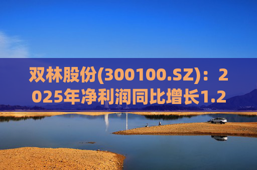 双林股份(300100.SZ)：2025年净利润同比增长1.25% 拟10股派1元